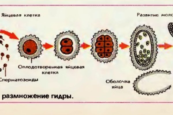 Кракен зарегистрироваться