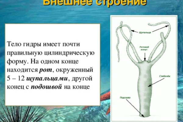 Кракен супернет только через